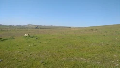 Satılır torpaq sahəsi 55 sot, Novxanı q.-2 Satılır torpaq sahəsi 55 sot, Novxanı q.-2