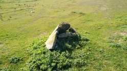 Satılır torpaq sahəsi 55 sot, Novxanı q.-4 Satılır torpaq sahəsi 55 sot, Novxanı q.-4