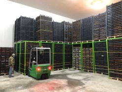 İcarə obyekt 500 m², Xətai r.-4 İcarə obyekt 500 m², Xətai r.-4