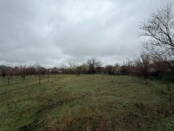 Satılır torpaq sahəsi 40 sot,  Tərtər-18