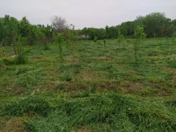 Satılır torpaq sahəsi 40 sot,  Tərtər-3