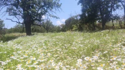 Satılır ev/villa 3 otaqlı 85 m², Göygöl-12 Satılır ev/villa 3 otaqlı 85 m², Göygöl-12