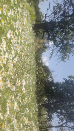 Satılır ev/villa 3 otaqlı 85 m², Göygöl-9 Satılır ev/villa 3 otaqlı 85 m², Göygöl-9