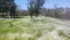 Satılır ev/villa 3 otaqlı 85 m², Göygöl-11 Satılır ev/villa 3 otaqlı 85 m², Göygöl-11