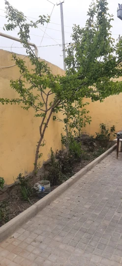 Satılır ev/villa 4 otaqlı 120 m², Avtovağzal m.-5