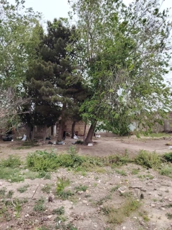 Satılır torpaq sahəsi 11 sot, Sabunçu-4 Satılır torpaq sahəsi 11 sot, Sabunçu-4