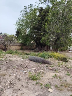 Satılır torpaq sahəsi 11 sot, Sabunçu-3 Satılır torpaq sahəsi 11 sot, Sabunçu-3