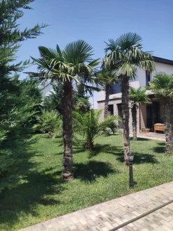 İcarə ev/villa 4 otaqlı 200 m², Türkan q.-28 İcarə ev/villa 4 otaqlı 200 m², Türkan q.-28