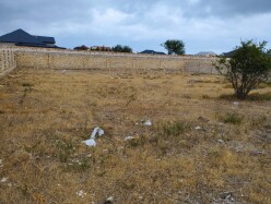 Satılır torpaq sahəsi 9 sot,  Buzovna-2