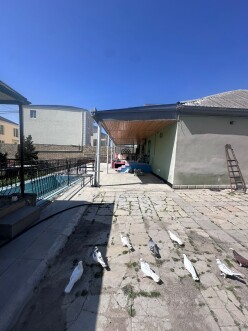 Satılır torpaq sahəsi 20 sot,  Masazır-2