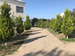 İcarə bağ evi 300 m², Novxanı q.-22