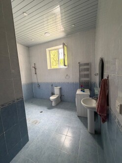 İcarə obyekt 300 m²,  Qəbələ-9