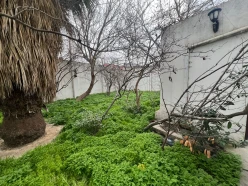 İcarə obyekt 650 m², Bakıxanov-12 İcarə obyekt 650 m², Bakıxanov-12