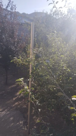 Satılır yeni tikili 3 otaqlı 4 m², İsmayıllı-13 Satılır yeni tikili 3 otaqlı 4 m², İsmayıllı-13