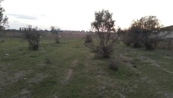 Satılır torpaq sahəsi108 sot, Buzovna q.-4