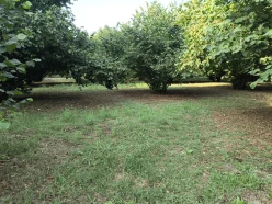 Satılır torpaq sahəsi 45 sot,  Qəbələ-2