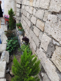 Satılır yeni tikili 3 otaqlı 100 m²,  Şağan-2