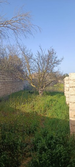 Satılır torpaq sahəsi 7 sot,  Qala-3