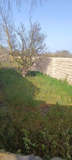 Satılır torpaq sahəsi 7 sot,  Qala-4
