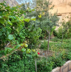 Satılır ev/villa 9 otaqlı 220 m²,  Lökbatan-24