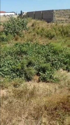 Satılır torpaq sahəsi 7 sot,  Sabunçu-3