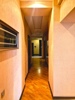 İcarə yeni tikili 4 otaqlı 210 m², Nəsimi r.-7