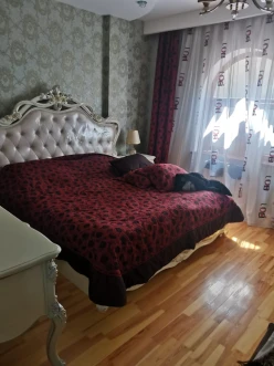 Satılır ev/villa 6 otaqlı 300 m², Badamdar q.-4