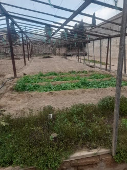 Satılır torpaq sahəsi 5 sot,  Buzovna-4