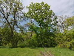 Satılır torpaq sahəsi 27 sot,  Qusar-2