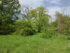 Satılır torpaq sahəsi 27 sot,  Qusar-4