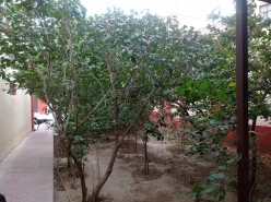 Satılır ev/villa 9 otaqlı 360 m², Badamdar q.-3 Satılır ev/villa 9 otaqlı 360 m², Badamdar q.-3