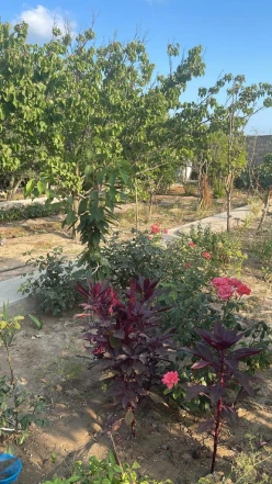 İcarə bağ evi 200 m², Türkan q.-25 İcarə bağ evi 200 m², Türkan q.-25