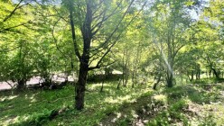 Satılır torpaq sahəsi 6 sot,  Qəbələ-3