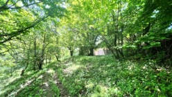 Satılır torpaq sahəsi 6 sot,  Qəbələ-4