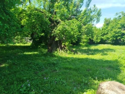 Satılır torpaq sahəsi 10 sot, İsmayıllı-2 Satılır torpaq sahəsi 10 sot, İsmayıllı-2