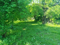 Satılır torpaq sahəsi 10 sot, İsmayıllı-3 Satılır torpaq sahəsi 10 sot, İsmayıllı-3