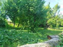 Satılır torpaq sahəsi 10 sot, İsmayıllı-4 Satılır torpaq sahəsi 10 sot, İsmayıllı-4