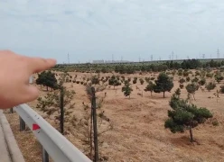 Satılır torpaq sahəsi 22 sot,  Yeni Günəşli-2