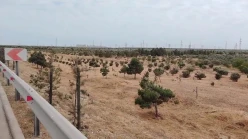 Satılır torpaq sahəsi 22 sot,  Yeni Günəşli-10