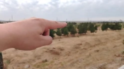 Satılır torpaq sahəsi 22 sot,  Yeni Günəşli-11