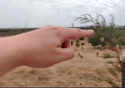 Satılır torpaq sahəsi 22 sot,  Yeni Günəşli-3