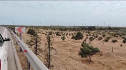 Satılır torpaq sahəsi 22 sot,  Yeni Günəşli-9