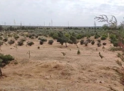 Satılır torpaq sahəsi 22 sot,  Yeni Günəşli-6