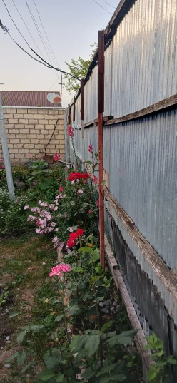 Satılır bağ evi 240 m²,  Qəbələ-3