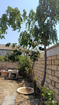 Satılır ev/villa 3 otaqlı 70 m², Masazır-5 Satılır ev/villa 3 otaqlı 70 m², Masazır-5