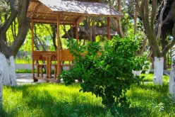 İcarə obyekt 850 m²,  Sahil m.-11