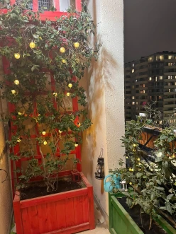 Satılır yeni tikili 3 otaqlı 104 m², Şah İsmayıl Xətai m.-10