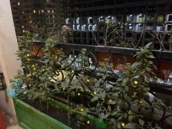 Satılır yeni tikili 3 otaqlı 104 m², Şah İsmayıl Xətai m.-11