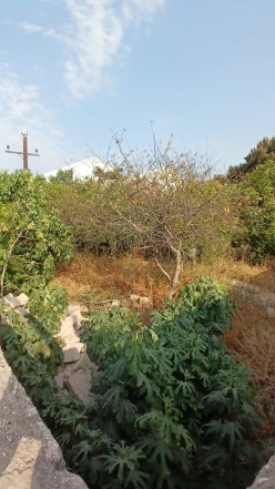 Satılır torpaq sahəsi 3 sot, Bakıxanov-6 Satılır torpaq sahəsi 3 sot, Bakıxanov-6