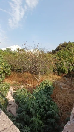 Satılır torpaq sahəsi 3 sot, Bakıxanov-2 Satılır torpaq sahəsi 3 sot, Bakıxanov-2